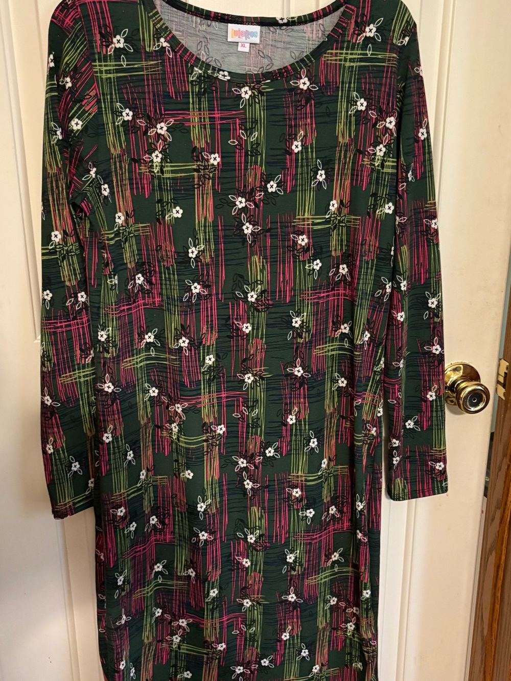 LuLaRoe Debbie Dress Green Pink White Floral Long Sleeve XL
